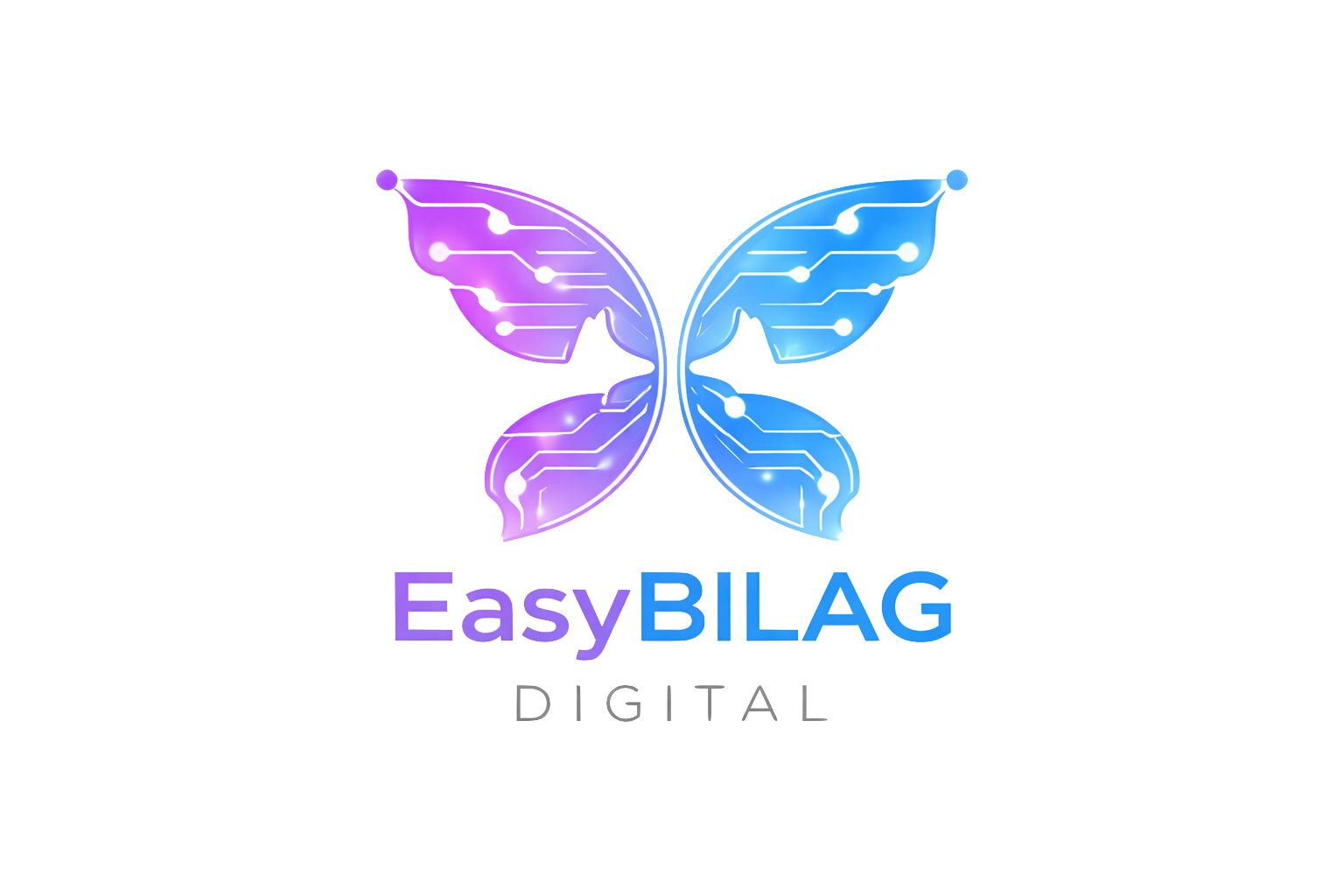EasyBILAG Digital logo